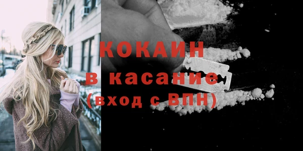 сатива Абаза