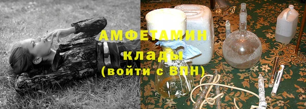 сатива Абаза