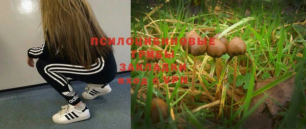 ПСИЛОЦИБИНОВЫЕ ГРИБЫ Пестово