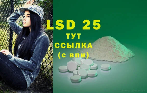 сатива Абаза