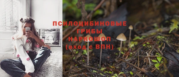 не бодяженный Абдулино