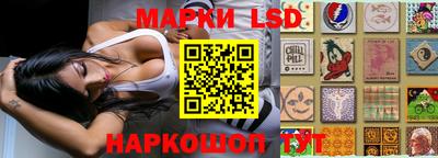 spice Владикавказ