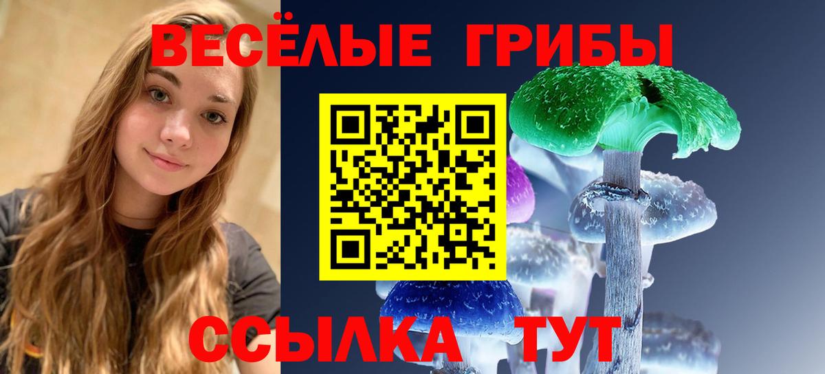 Галлюциногенные грибы GOLDEN TEACHER  Вход с VPN  Лиски 